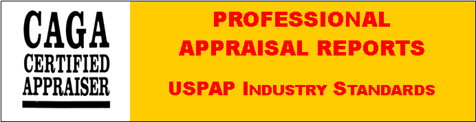 professional appraisal reports